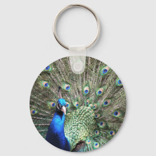 Schlüsselkette für den Pfau Schlüsselanhänger