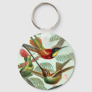 Schlüsselkette für Hummingvogel Schlüsselanhänger