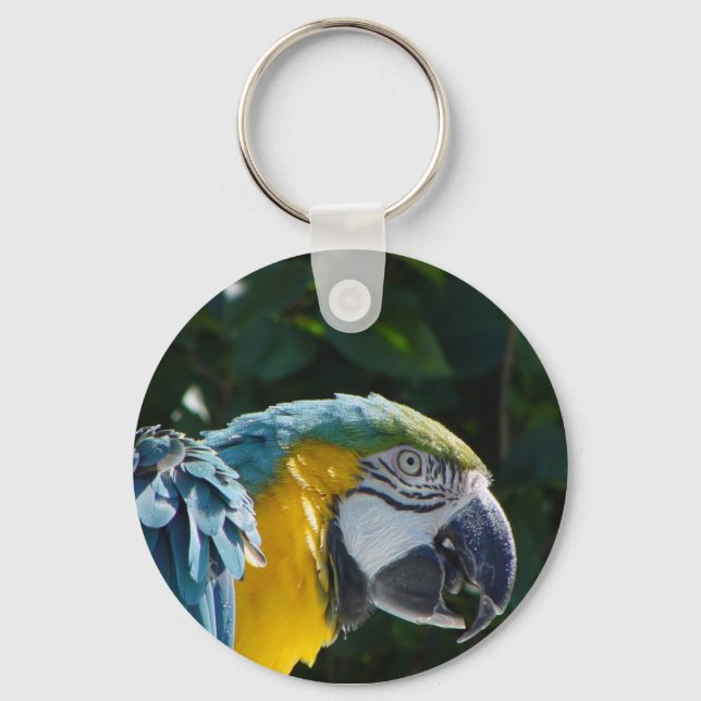 Schlüsselkette für Macaw Schlüsselanhänger (Vorderseite)