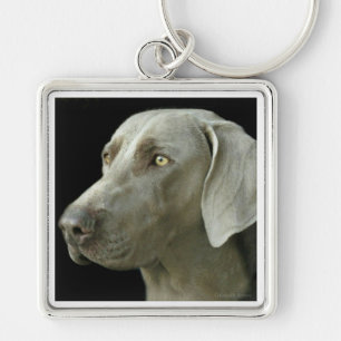 Schlüsselkette - Hauptstudie Weimaraner Schlüsselanhänger