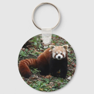 Schlüsselkette - roter Panda 2 Schlüsselanhänger