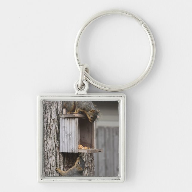 Schlüsselkette Schlüsselanhänger (Vorne)