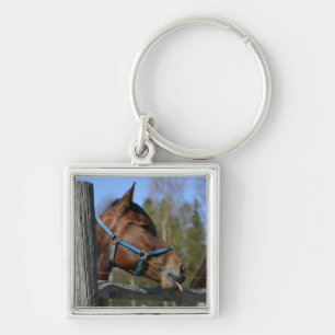 Schlüsselkette Schlüsselanhänger