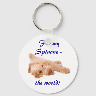 Schlüsselring - "für mein Spinone - die Welt!". Schlüsselanhänger