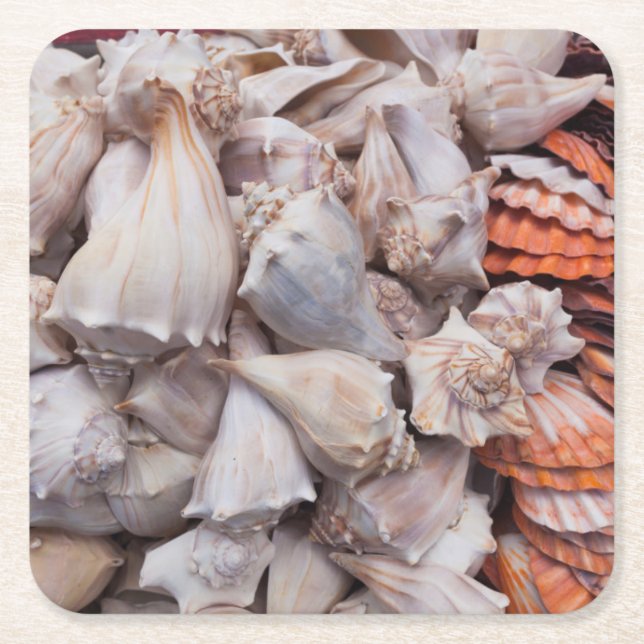 Schlüsselwesten, Muscheln Rechteckiger Pappuntersetzer (Vorderseite)