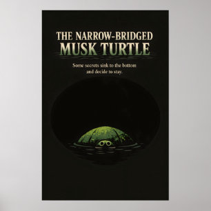 Schmalbrückige Klapperschildkröten-Kunst Poster