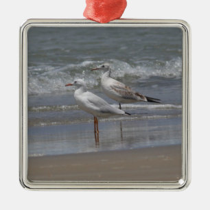 Schmalgliedrige Möven Ornamanet Silbernes Ornament