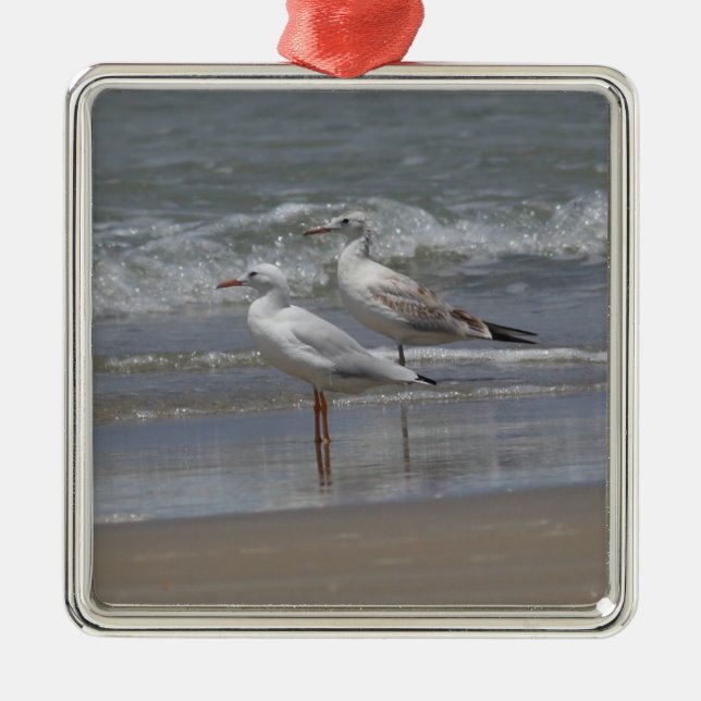 Schmalgliedrige Möven Ornamanet Silbernes Ornament (Vorne)
