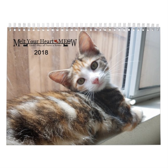 Schmelzen Sie Ihr Herz - MEOW Kätzchen-Kalender Kalender (Titelbild)