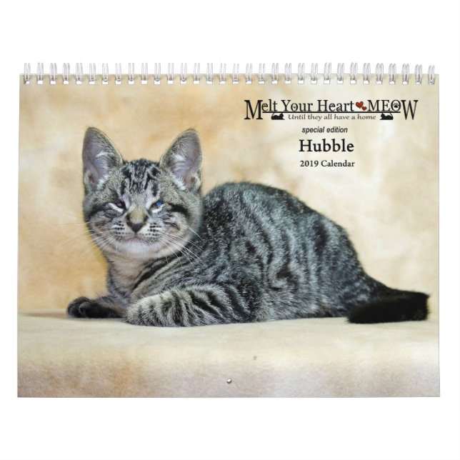 Schmelzen Sie Ihren HerzMeow Hubble 2019 Kalender (Titelbild)