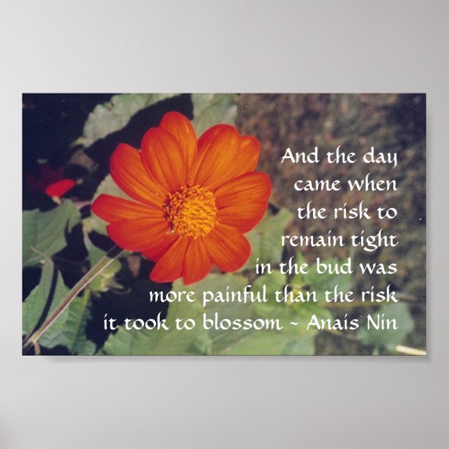 Schmerzen und Risiken - Anais Nin - Plakat (Vorne)