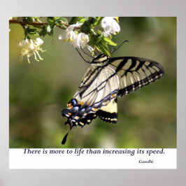 Schmetterling 1 poster