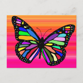 Schmetterling 1 postkarte