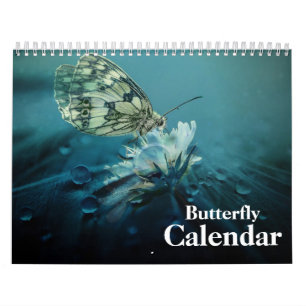Schmetterling 2025 kalender