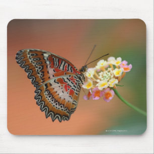 Schmetterling 2 mousepad