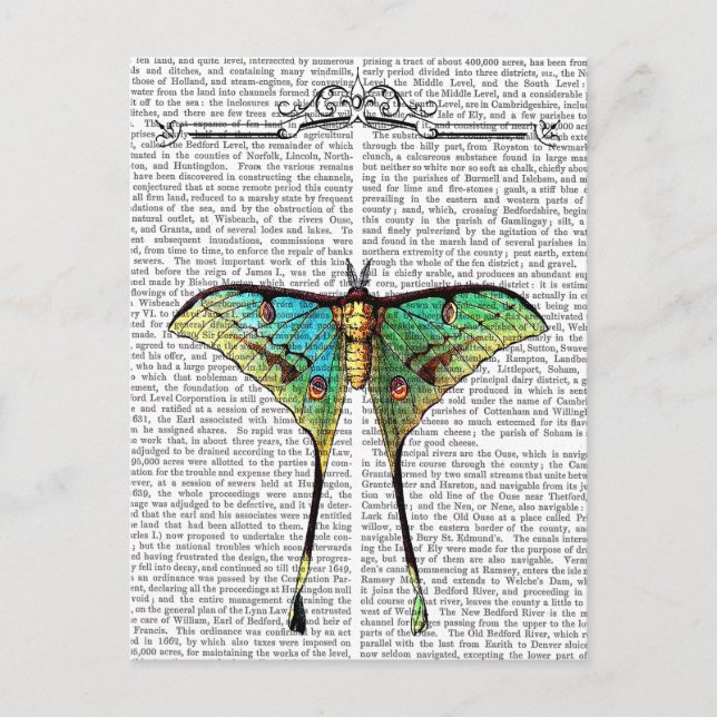 Schmetterling 2 postkarte (Vorderseite)