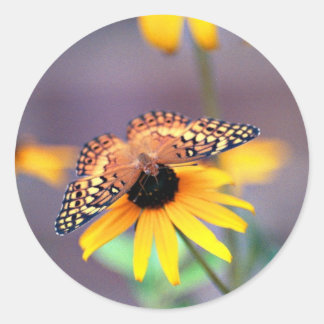 Schmetterling 3 runder aufkleber