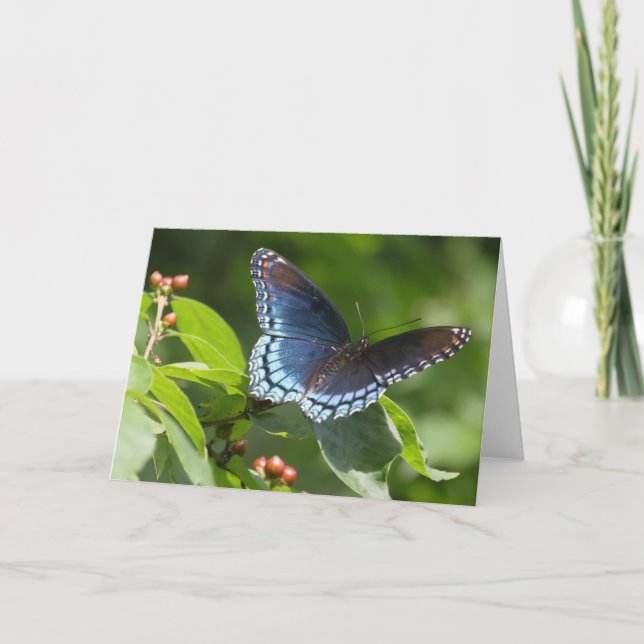 Schmetterling 7 x 5 Faltkarte - leer Karte (Vorderseite)