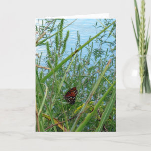 Schmetterling am Fluss Karte