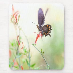 Schmetterling am Nachmittag Mousepad
