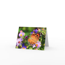 Schmetterling auf Aster-Blume Notizkarte/Grußkarte