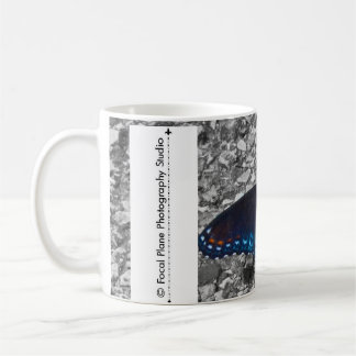 Schmetterling auf Beton Kaffeetasse