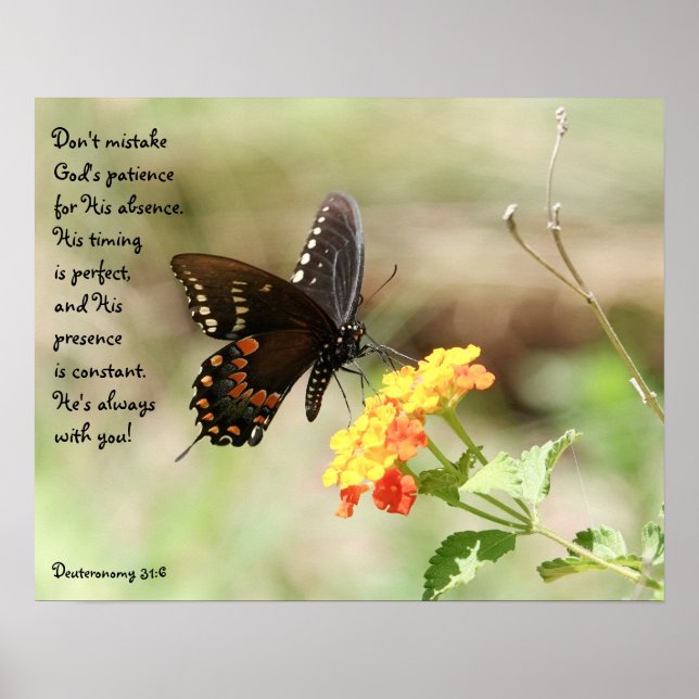 Schmetterling auf Bläserverse aus Deuteronomie 31: Poster (Vorne)