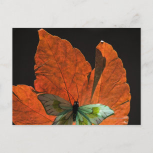 Schmetterling auf Blatt 2 Postkarte