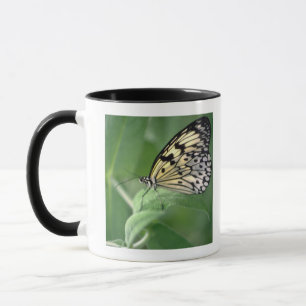 Schmetterling auf Blatt Tasse