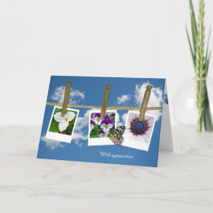 Schmetterling auf blühenden Fotos Dankeskarte