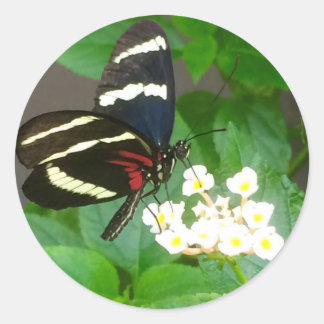Schmetterling auf Blume Aufkleber