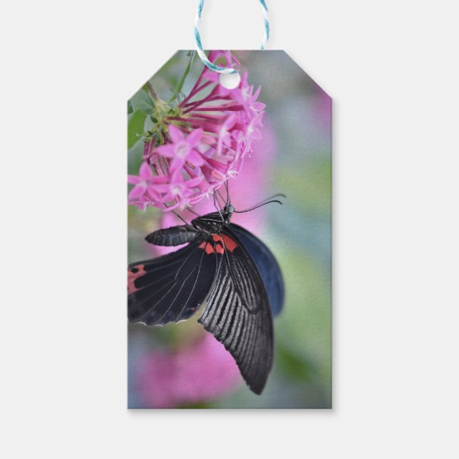 Schmetterling auf Blume Geschenkanhänger (Vorderseite)