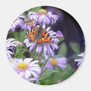 Schmetterling auf Blume Magnet