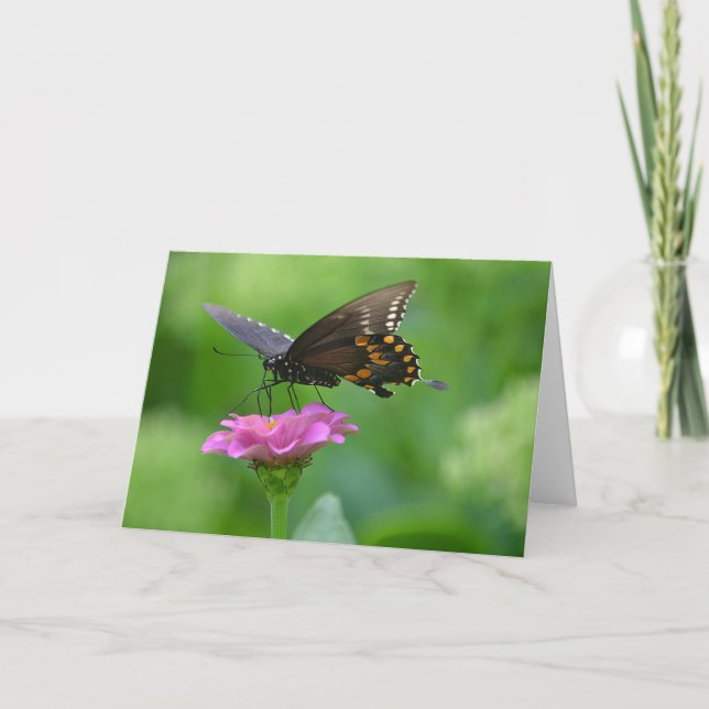Schmetterling auf Blume Notecard Karte (Vorderseite)