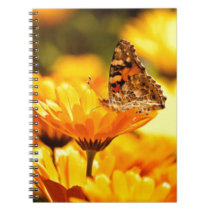 Schmetterling auf Blume Notizblock