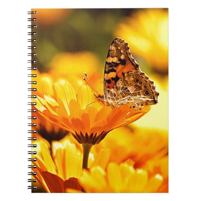 Schmetterling auf Blume Notizblock (Vorderseite)