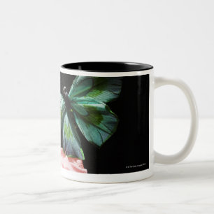 Schmetterling auf Blume Zweifarbige Tasse