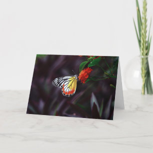 Schmetterling auf Blumen-Gruß-Karten Karte