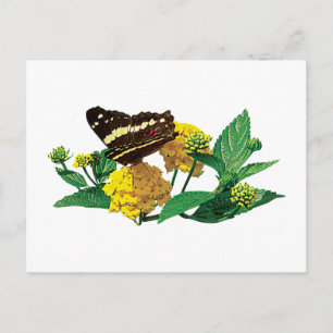Schmetterling auf dem Gelben Lantana Postkarte