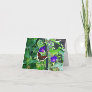 Schmetterling auf den Blume der Morgenherrschaft Karte