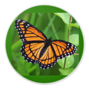 Schmetterling auf den Knochen und Keramiken Keramikknauf