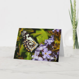 Schmetterling auf der Blume, Blankokarte Karte