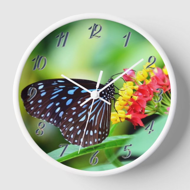 Schmetterling auf der Blume Uhr (Vorderseite)