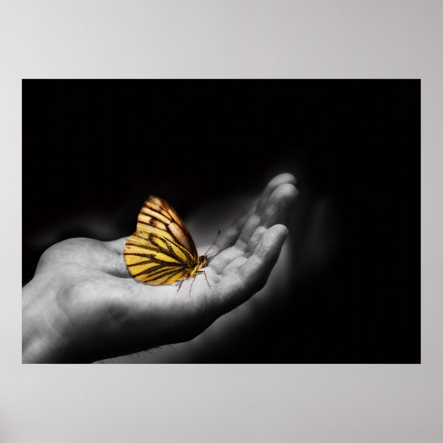 Schmetterling auf der Hand Poster (Vorne)