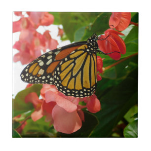 Schmetterling auf der Keramik Rote Blume Fliese