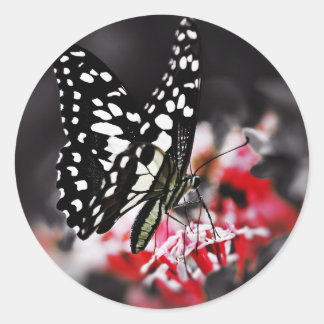 Schmetterling auf der roten Blume Runder Aufkleber