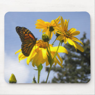 Schmetterling auf der Sonnenblumenmaus Mousepad