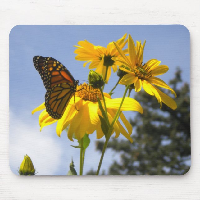 Schmetterling auf der Sonnenblumenmaus Mousepad (Vorne)