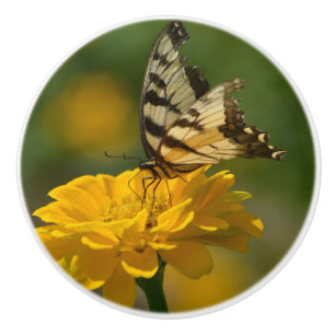 Schmetterling auf der Zinnia-Keramik Keramikknauf