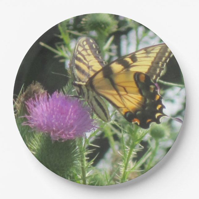 Schmetterling auf Distel-Pappteller Pappteller (Vorderseite)